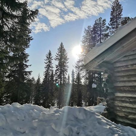 Mantytupa Lodge Syöte Εξωτερικό φωτογραφία