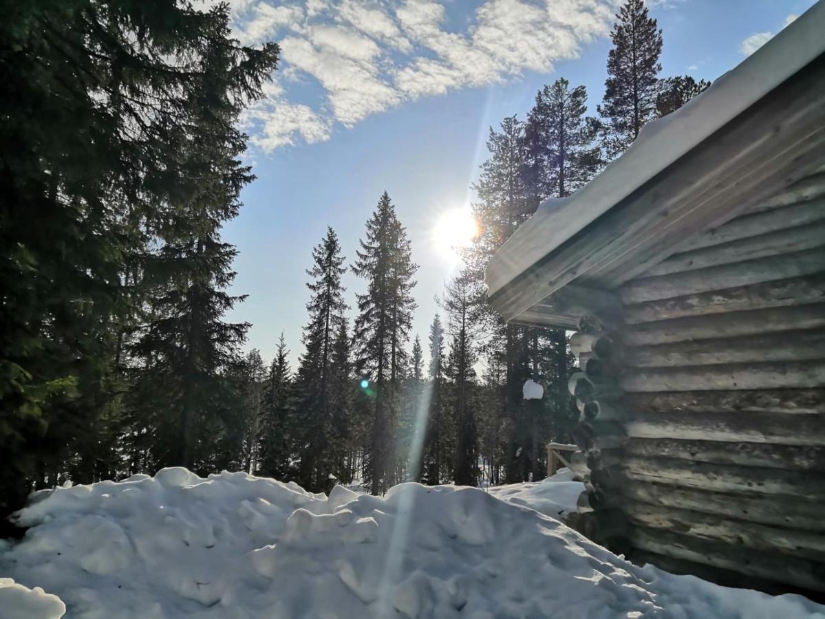 Mantytupa Lodge Syöte Εξωτερικό φωτογραφία